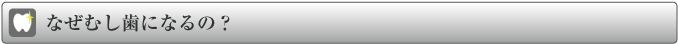 なぜむし歯になるの?