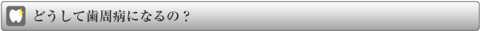 どうして歯周病になるの